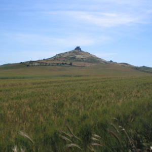 Campi di Grano a Monetserico