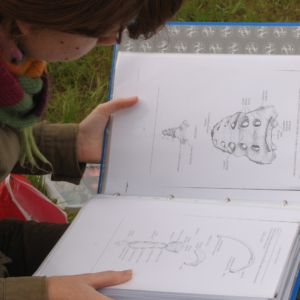 Manuale di anatomia per lo scavo