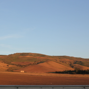 OrizzontiLimpidi (agro di Irsina)