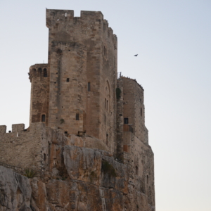 Roseto_La rocca (2)