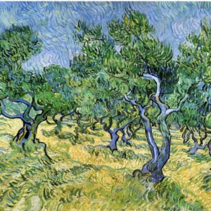 VanGogh_olive-grove-1889